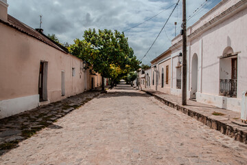 Colonial Cobblestone Street with Traditional Houses