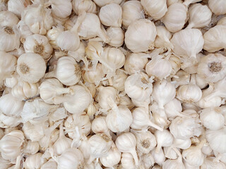 A close-up shot of fresh organic garlic bulbs, a healthy and raw spice, displayed at a market