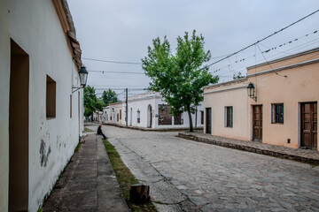 Colonial Cobblestone Street with Traditional Houses