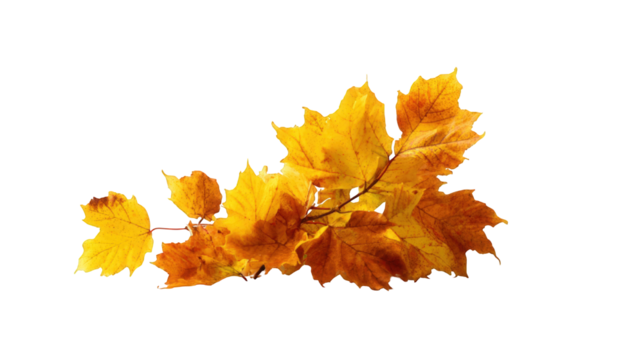 Autumn leaves on black background - Powered by Adobe