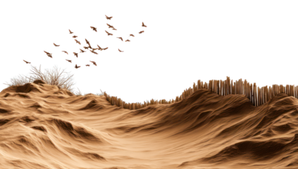 Abstract landscape with textured dunes and flying objects