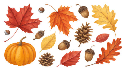 Fototapeta premium Autumn leaves PNG set with red, orange, and yellow leaves, pumpkins, acorns, pinecones, isolated on transparent background