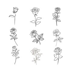 Fototapeta premium Rose Line Art Illustrations - Collection of Hand-Drawn Rose Sketches