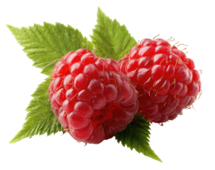 Two vibrant red raspberries, fresh and juicy, atop lush green leaves