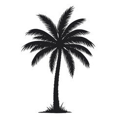 Palm tree silhouette illustration with arching fronds on a white background. EPS 10.