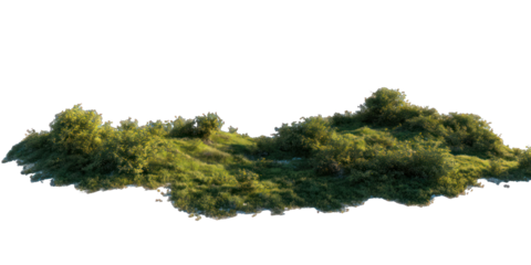 Lush green grassy island