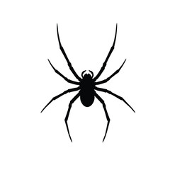 Spider silhouette illustration with eight legs on a white background. EPS 10.