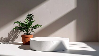 White round stage for product display with a green palm in a clay pot and aesthetic diagonal shadows from a window
