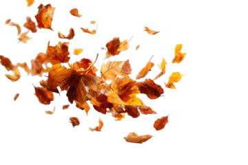 Autumn leaves swirling in motion