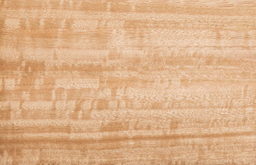 Fototapeta premium High resolution top view photo of natural figured eucalyptus wood panel texture background grain texture, perfect for use as wallpaper, or design element.