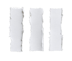 Three rectangular white paper strips, torn, with frayed edges