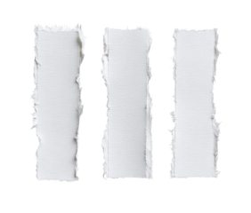 Three rectangular white paper strips, torn, with frayed edges