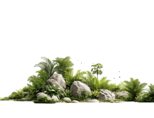 Lush jungle-like landscape with rocks and greenery