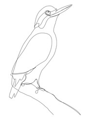 bird