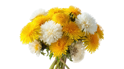 Close-up of a bouquet of dandelions