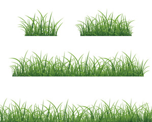 Green Grass Border And White Background