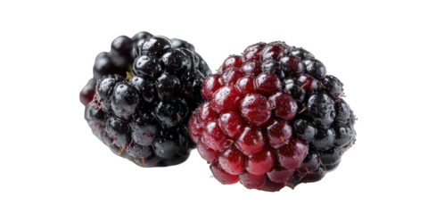Close-up of two blackberries