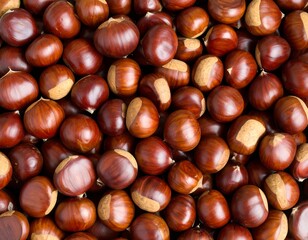 Obraz premium Close-up view of many chestnuts