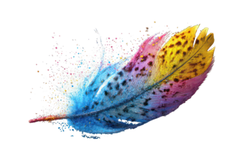 Vibrant feather bursts in color