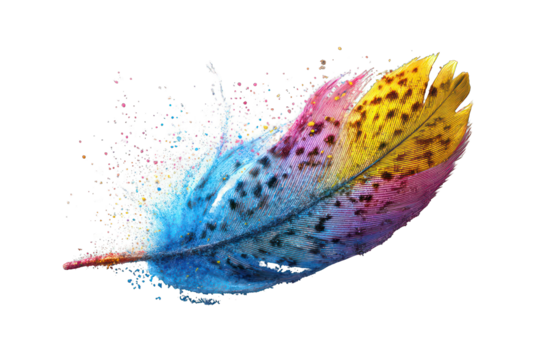 Vibrant feather bursts in color