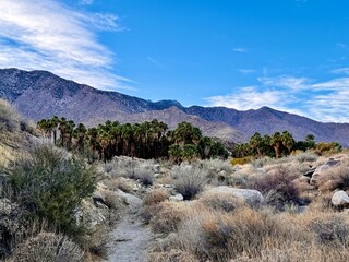 Golden desert grass and rocky trails lead to rugged mountains under a vivid sky, capturing the raw beauty of arid wilderness and serene hiking paths in a natural landscape.