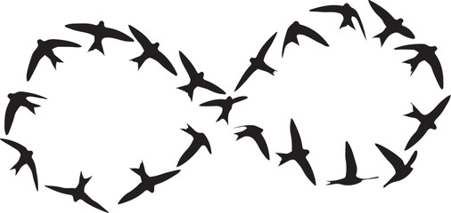 bird inifinity sign