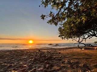 sunset on the beach © Diana