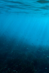 Dark blue ocean surface seen from underwater. Abstract waves underwater and rays of sunlight shining through, Sun light rays undersea deep, Underwater background with sea bottom, Mediterranean sea.