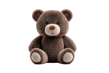 Plush brown teddy bear