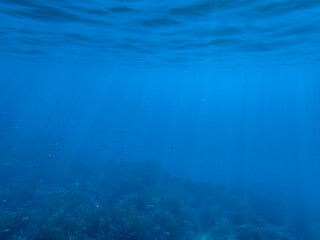 Dark blue ocean surface seen from underwater. Abstract waves underwater and rays of sunlight shining through, Sun light rays undersea deep, Underwater background with sea bottom, Mediterranean sea.