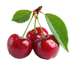 Close-up of three ripe cherries with leaves