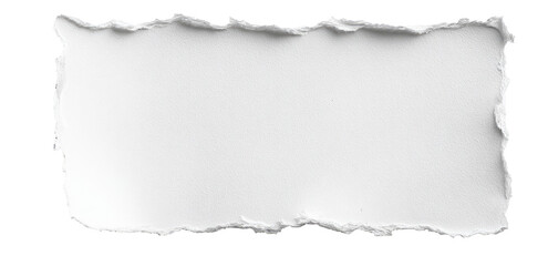 Ripped white paper texture