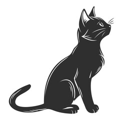 black cat vector illustration