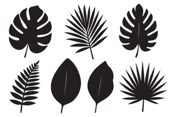 Set of vector leaves and leaf silhouettes illustration