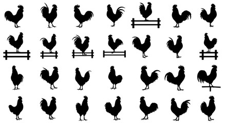 Vector art of collection of black silhouette rooster for farm, agriculture, and animal themes