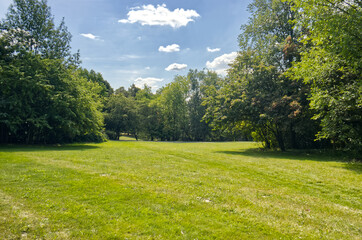 Meadow with beautifully green and manicured grass in the park. Park with trees and grass bathed in warm summer sun. Blue sky above the trees.