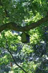 Wooden birdhouse hanging on a tree branch in the park. Birdhouse in the park. Shelter for birds, birdhouse. Sun shining through the treetop.
