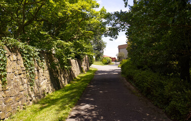 A walkway in a park around a stone wall and tree planting. A walkway in a park lined with trees and a stone wall. The sun shining on the stone wall. Park and architecture.