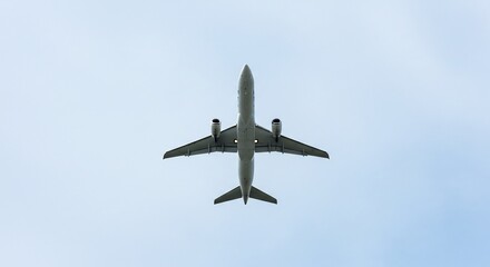 Obraz premium Airliner ascends smoothly under a pale sky. AI Generated