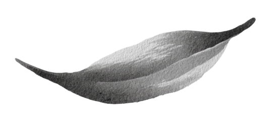 Abstract grayscale illustration of a stylized leaf or petal
