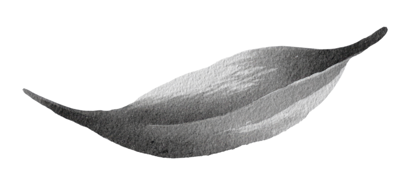 Abstract grayscale illustration of a stylized leaf or petal