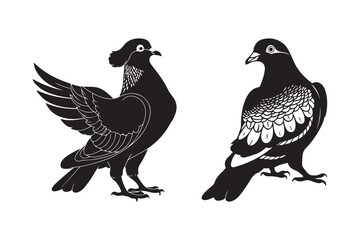 Two black pigeons in a detailed illustration style