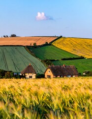 Rural landscape with thatched cottages and colorful fields