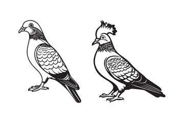Two pigeons drawn in a vintage sketch style