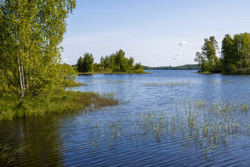 View of the lake in summer. Trees on the shore of the lake and on the islands. Lake Veljo, Novgorod region, Russia.