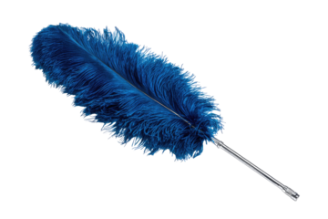 A vibrant, deep blue ostrich feather duster, set against a black background.  The feather's barbs are densely packed, creating a fluffy surface. A metallic shaft extends from the base of the feather