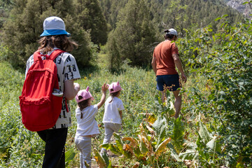 Father with son and two daughters walking together on mountain trail during hiking trip. Rare view family outdoor adventure and travel scene.