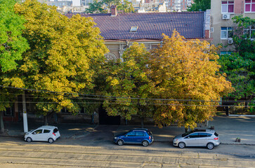 Street with classical architecture and chestnut trees