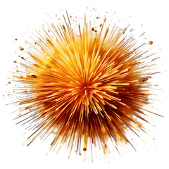 Fiery Golden Explosion with Radiant Streaks on Black