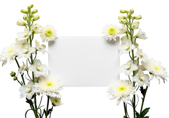 Elegant white flowers framing a blank card for a sympathy message isolated on transparent background